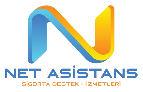 Netasistans Logo